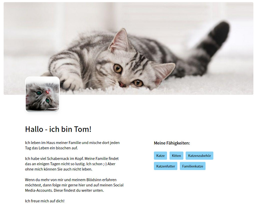 Miau Zeige Deine Samtpfote Online Dogado De Blog